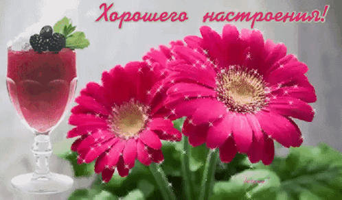 Хорошего настроения — цветы и коктейль