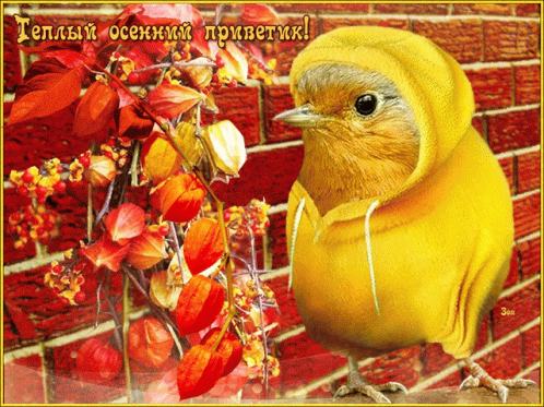 Теплый осенний приветик