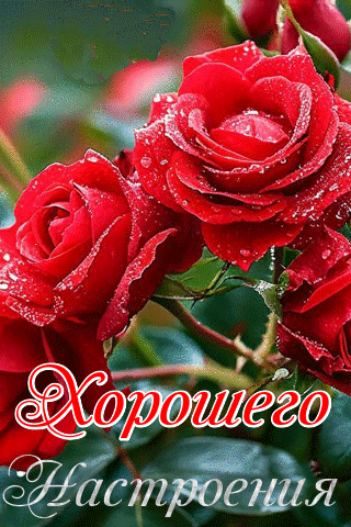 Хорошего настроения