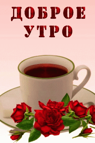 Чашка чая и розы