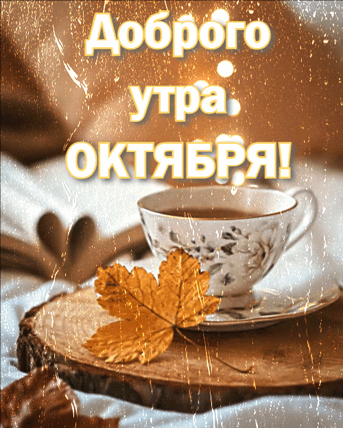Дождь и чашка чая