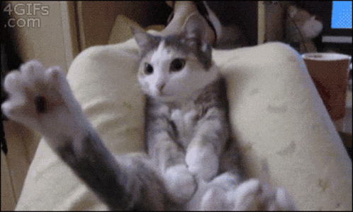 Кот проваливается