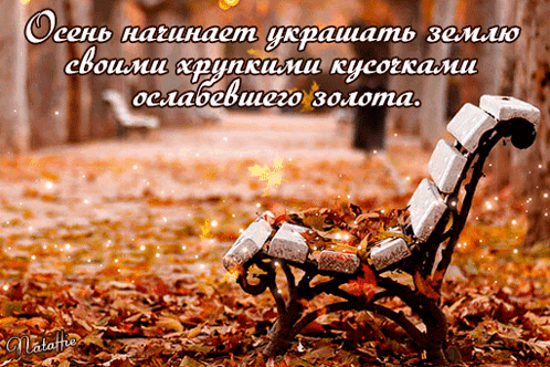 Осень украшает землю