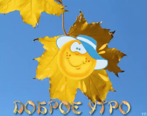 Доброе утро от осеннего солнышка